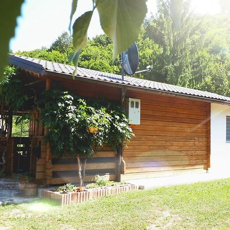 Studio Apartman Firdaus-Bihac, Dobrenica Bb Exterior foto