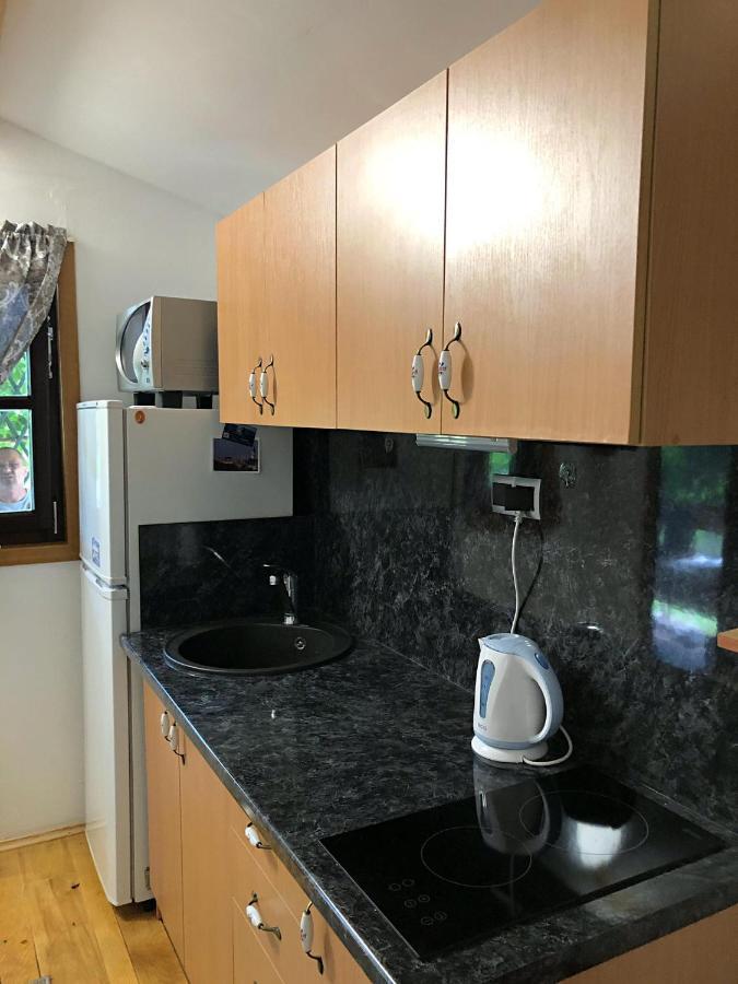 Studio Apartman Firdaus-Bihac, Dobrenica Bb Exterior foto
