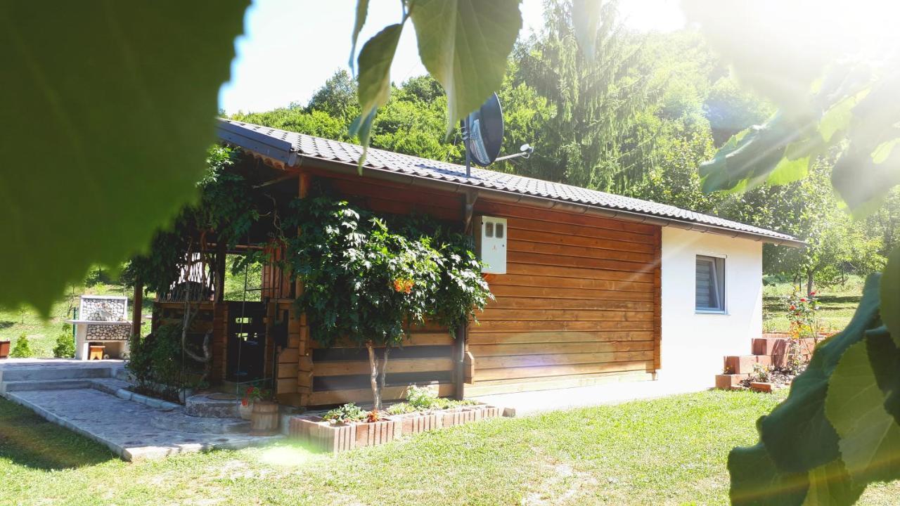 Studio Apartman Firdaus-Bihac, Dobrenica Bb Exterior foto